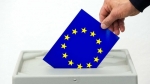 Elezioni europee 2024: tutti i candidati circoscrizione sud